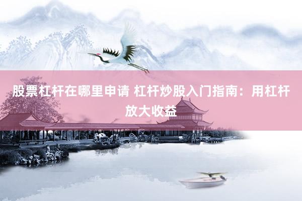 股票杠杆在哪里申请 杠杆炒股入门指南：用杠杆放大收益