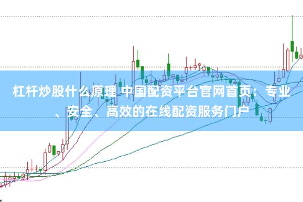 杠杆炒股什么原理 中国配资平台官网首页：专业、安全、高效的在线配资服务门户