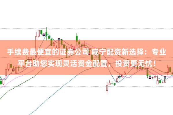 手续费最便宜的证券公司 咸宁配资新选择：专业平台助您实现灵活资金配置，投资更无忧！