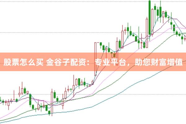 股票怎么买 金谷子配资：专业平台，助您财富增值