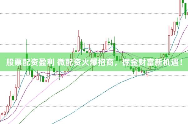 股票配资盈利 微配资火爆招商，掘金财富新机遇！