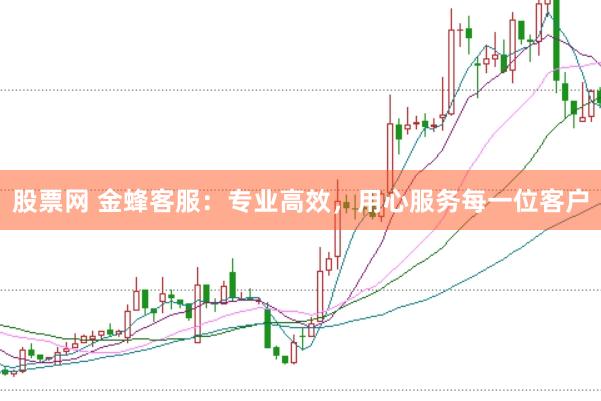 股票网 金蜂客服：专业高效，用心服务每一位客户