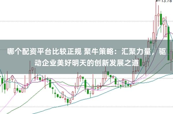 哪个配资平台比较正规 聚牛策略：汇聚力量，驱动企业美好明天的创新发展之道
