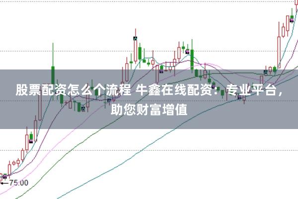 股票配资怎么个流程 牛鑫在线配资：专业平台，助您财富增值