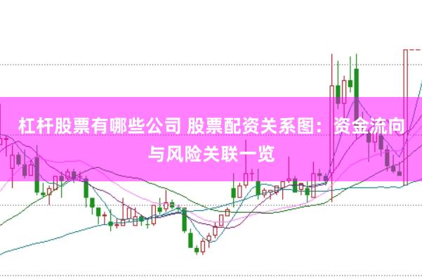 杠杆股票有哪些公司 股票配资关系图：资金流向与风险关联一览