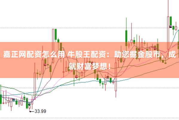 嘉正网配资怎么用 牛股王配资：助您掘金股市，成就财富梦想！