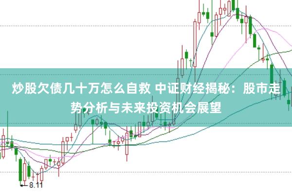 炒股欠债几十万怎么自救 中证财经揭秘：股市走势分析与未来投资机会展望