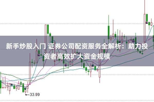 新手炒股入门 证券公司配资服务全解析：助力投资者高效扩大资金规模