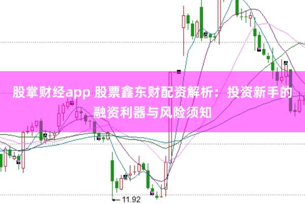 股掌财经app 股票鑫东财配资解析：投资新手的融资利器与风险须知