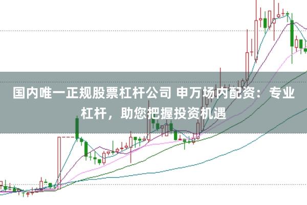 国内唯一正规股票杠杆公司 申万场内配资:专业杠杆,助您把握投资机遇