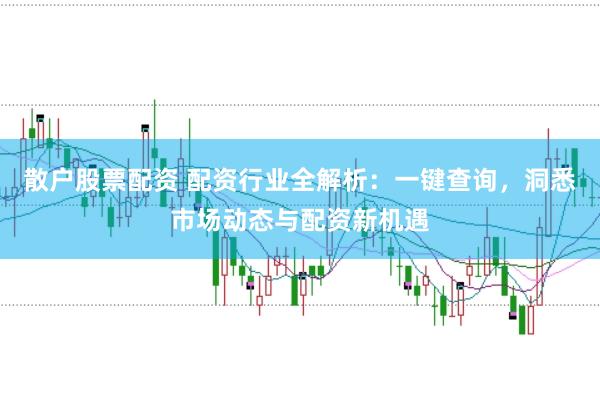 散户股票配资 配资行业全解析:一键查询,洞悉市场动态与配资新机遇