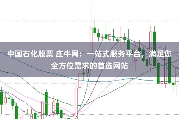 中国石化股票 庄牛网：一站式服务平台，满足您全方位需求的首选网站