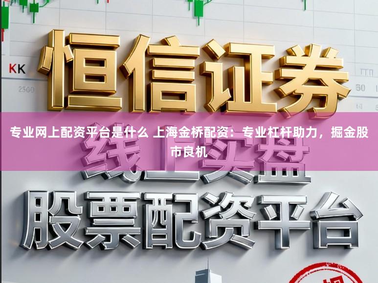 专业网上配资平台是什么 上海金桥配资:专业杠杆助力,掘金股市良机