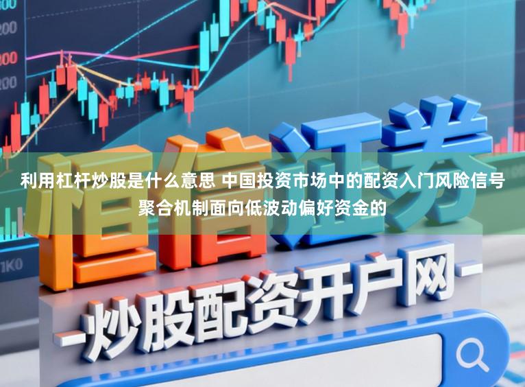 利用杠杆炒股是什么意思 中国投资市场中的配资入门风险信号聚合机制面向低波动偏好资金的
