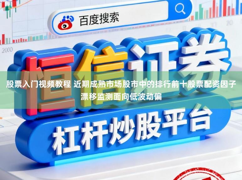 股票入门视频教程 近期成熟市场股市中的排行前十股票配资因子漂移监测面向低波动偏