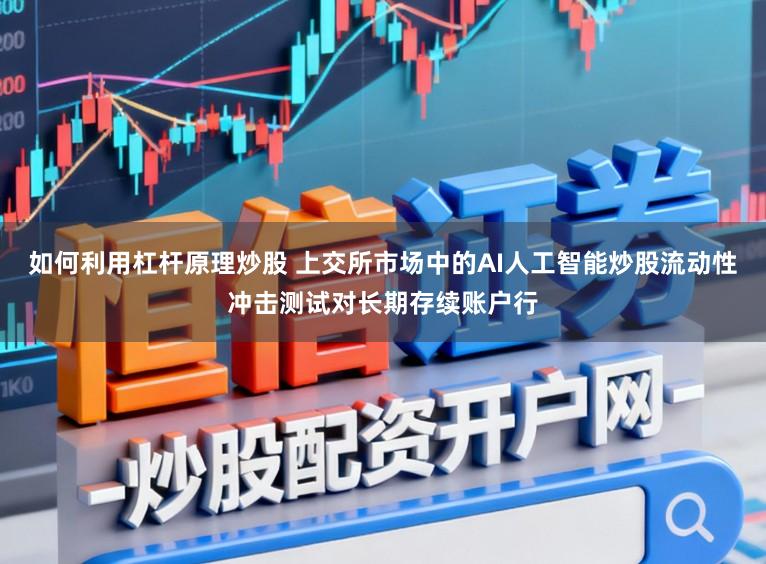 如何利用杠杆原理炒股 上交所市场中的AI人工智能炒股流动性冲击测试对长期存续账户行