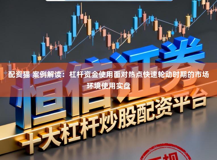 配资猫 案例解读：杠杆资金使用面对热点快速轮动时期的市场环境使用实盘